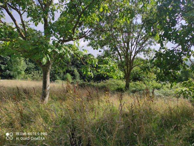 Vente Terrain 1721 m2 La Noë Poulain