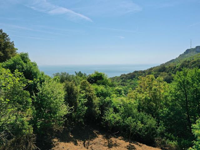 Vente Terrain 1724 m2 Brando