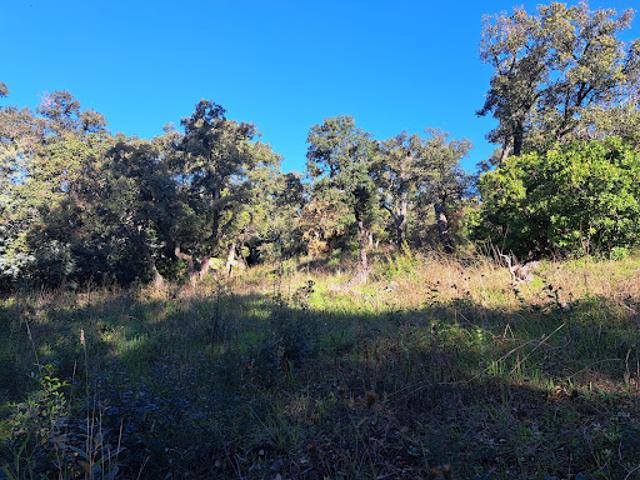 Vente Terrain 1726 m2 Saint raphael