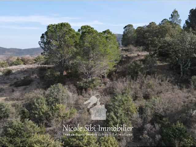 Vente Terrain 1730 m2 Montner