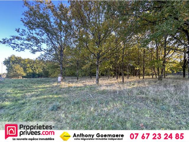 Vente Terrain 17400 m2 Langon sur Cher