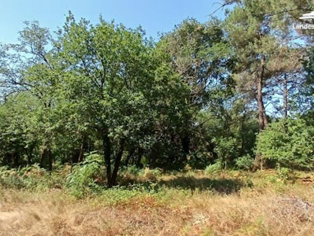 Vente Terrain 1748 m2 Morcenx la Nouvelle