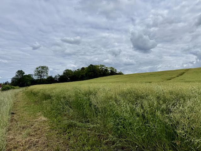 Vente Terrain 1750 m2 Lirey