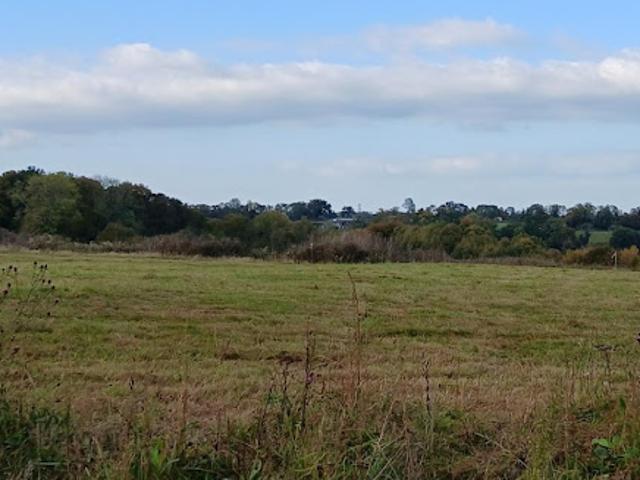Vente Terrain 1750 m2 Manerbe