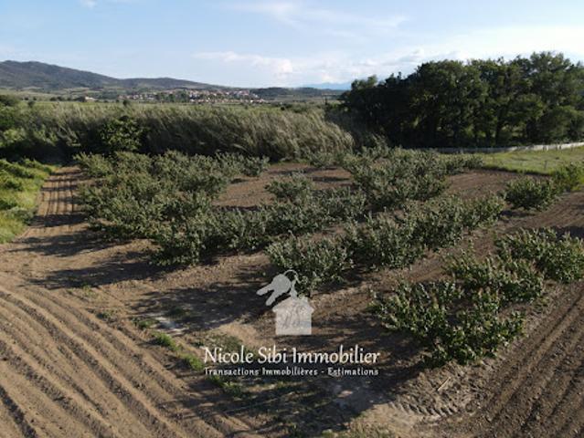 Vente Terrain 17525 m2 Estagel