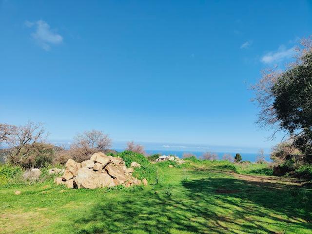 Vente Terrain 1755 m2 Lavatoggio