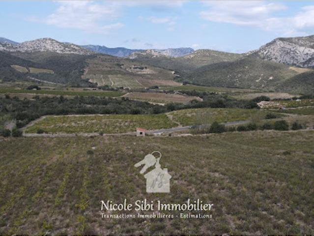 Vente Terrain 17590 m2 Rasiguères
