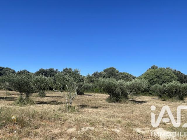 Vente Terrain 1764 m2 Saint Siffret