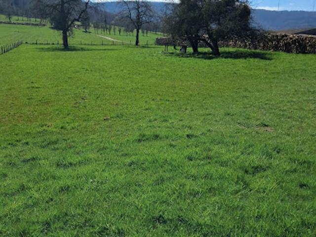Vente Terrain 1780 m2 Hyémondans