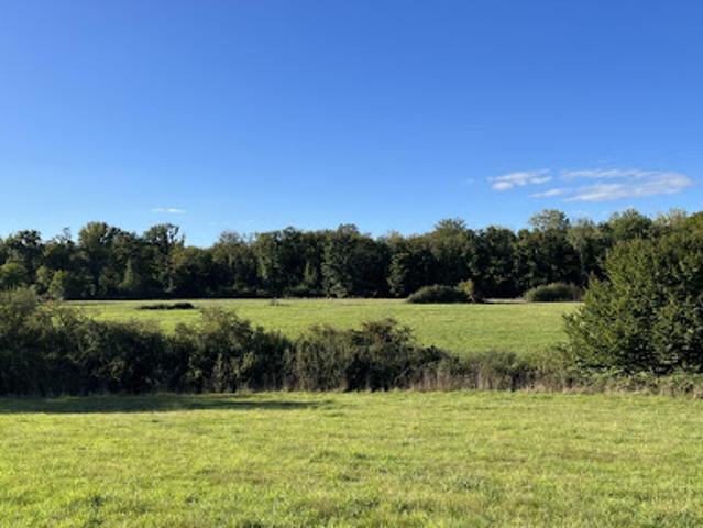 Vente Terrain 178738 m2 Jouet sur l'Aubois