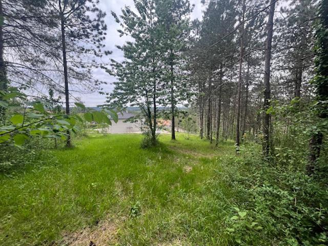 Vente Terrain 1795 m2 Bassillac et Auberoche