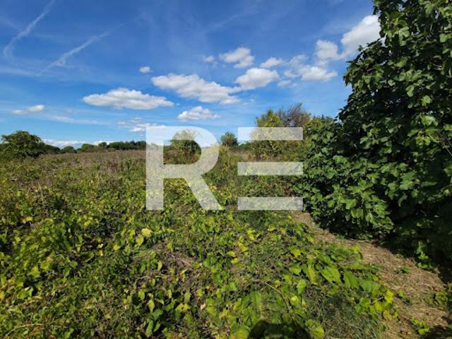 Vente Terrain 1799 m2 Marsillargues