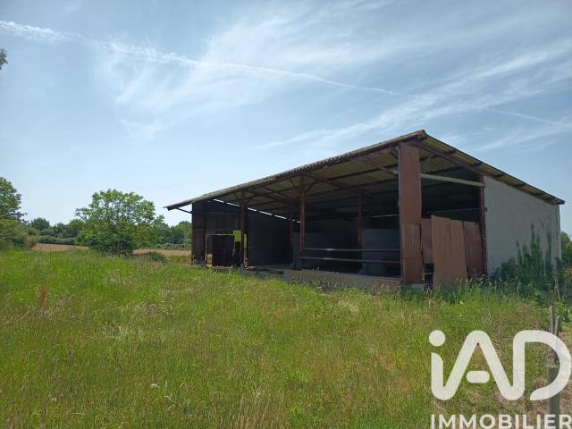 Vente Terrain 17 000 m²