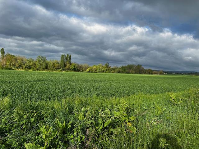 Vente Terrain 1800 m2 Coussay les Bois