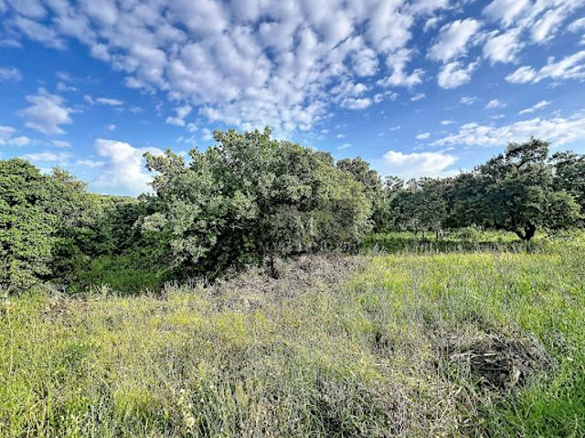 Vente Terrain 1800 m2 Calenzana