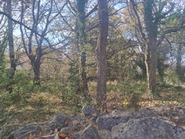 Vente Terrain 1800 m2 Barjac