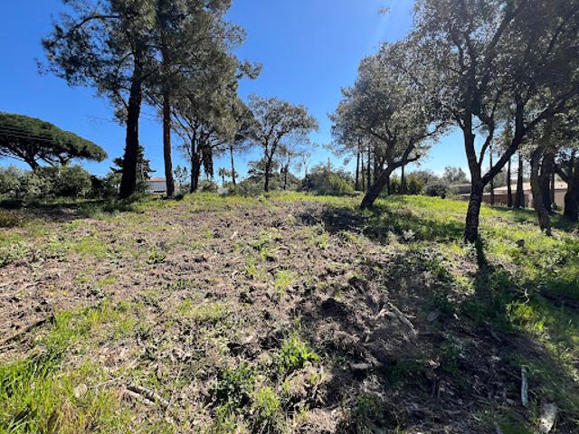 Vente Terrain 0 m2 Grimaud