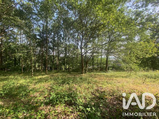 Vente Terrain 1800 m2 La fleche