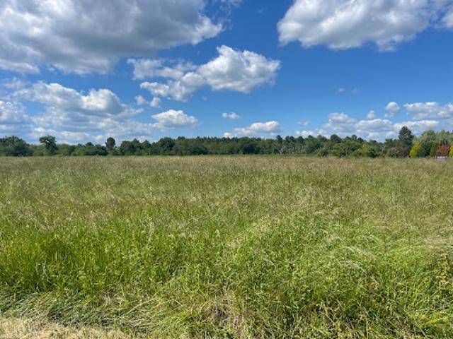 Vente Terrain 1800 m2 Pompéjac