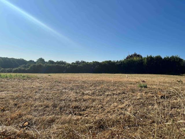 Vente Terrain 1800 m2 Payrignac