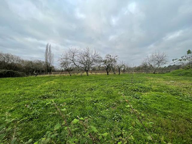 Vente Terrain 1800 m2 Prignac en Médoc