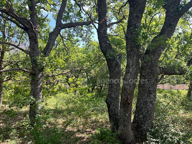 Vente Terrain 1800 m2 Rustrel