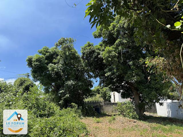 Vente Terrain 180 m2 Saint Pierre