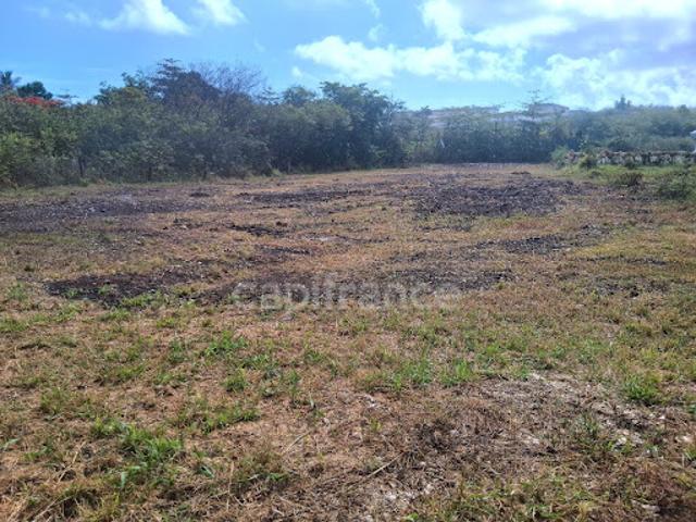 Vente Terrain 1811 m2 Le Moule