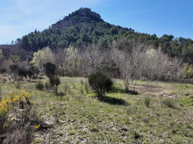 Vente Terrain 1813 m2 Entrechaux