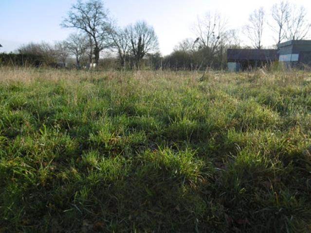 Vente Terrain 1816 m2 Ombrée d'Anjou