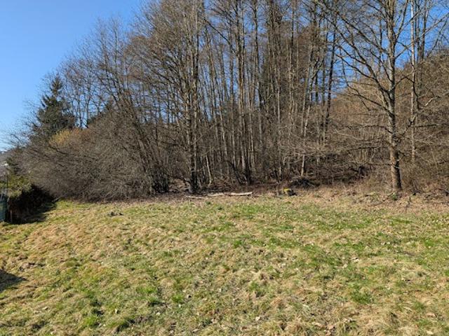 Vente Terrain 1820 m2 La Bresse