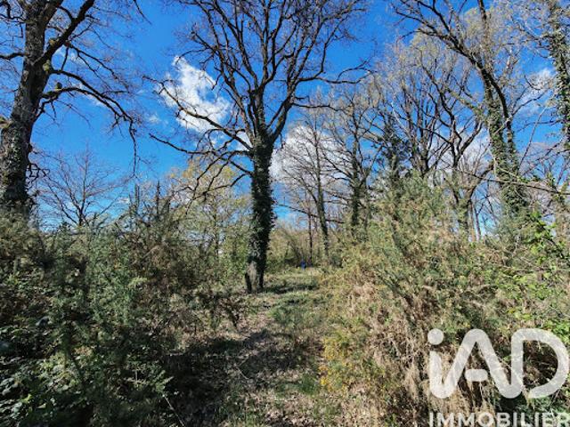 Vente Terrain 1830 m2 Esvres