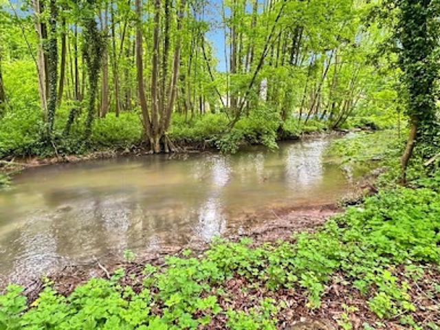Vente Terrain 1831 m2 Auberive