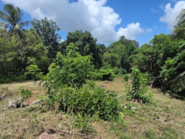 Vente Terrain 1836 m2 Le lamentin