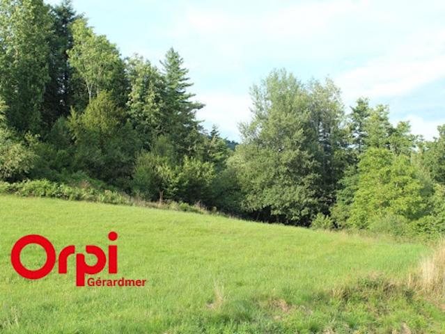 Vente Terrain 1845 m2 Cleurie