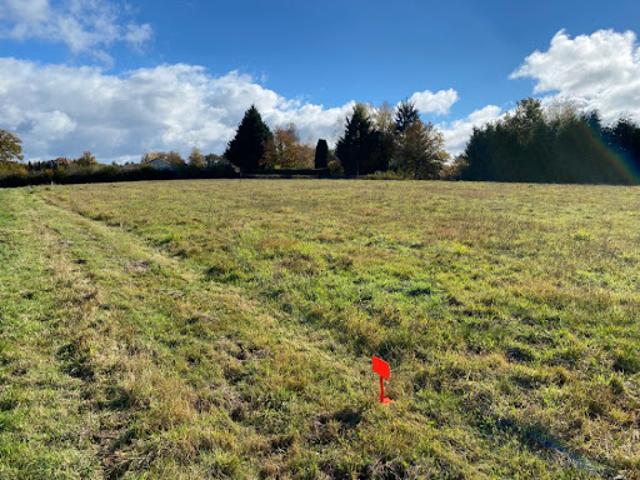 Vente Terrain 1846 m2 Roannes Saint Mary