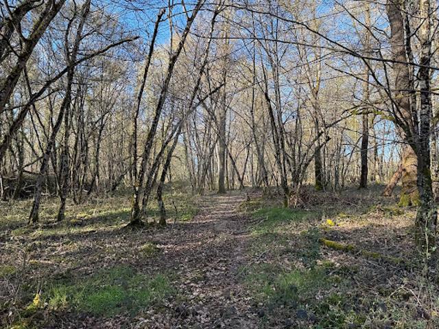 Vente Terrain 18500 m2 Cercy la Tour