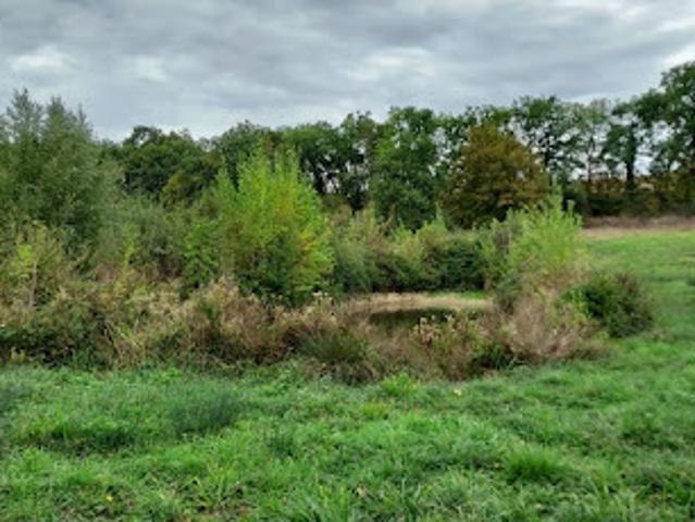 Vente Terrain 1860 m2 Gimbrède