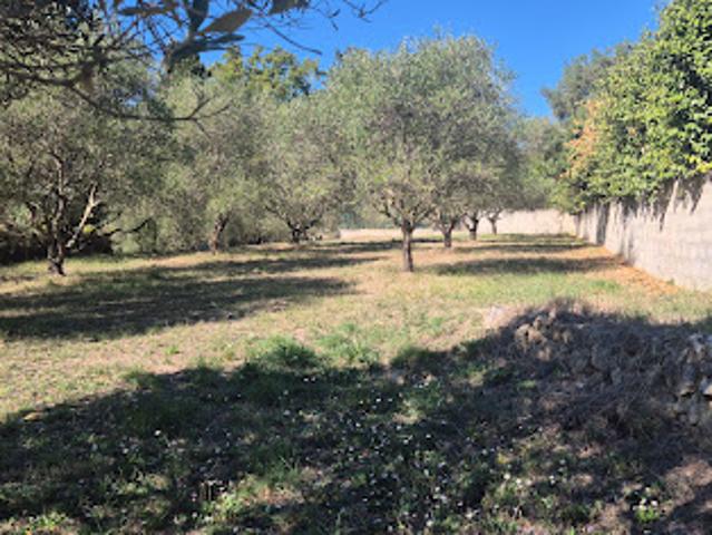 Vente Terrain 1861 m2 Montauroux