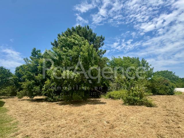 Vente Terrain 1870 m2 Saint Palais sur Mer