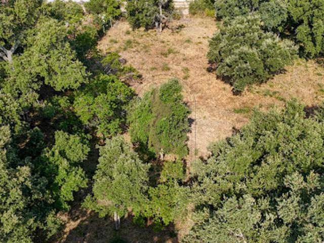 Vente Terrain 1876 m2 Lecci