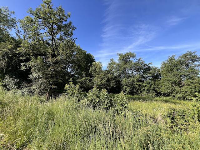 Vente Terrain 18782 m2 Mauriac