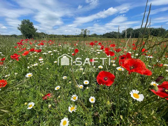 Vente Terrain 1880 m2 La Bruguière