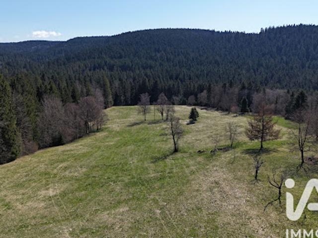 Vente Terrain 19000 m2 Gerardmer