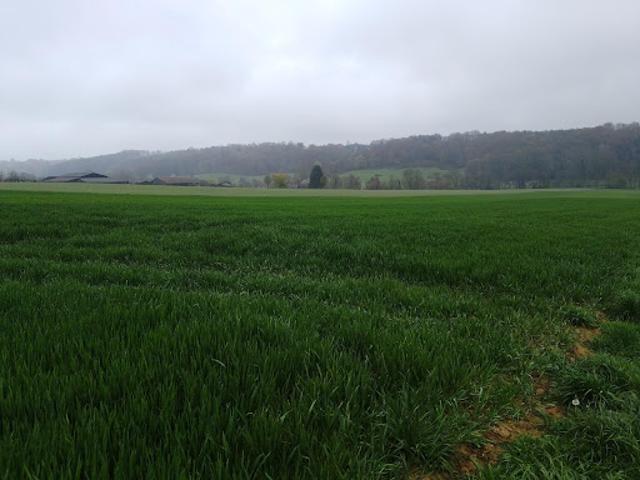 Vente Terrain 190000 m2 Saint Mard de Réno