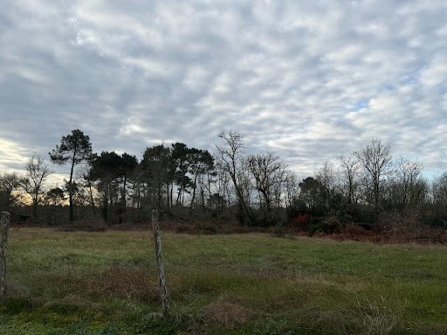 Vente Terrain 1900 m2 Bazas