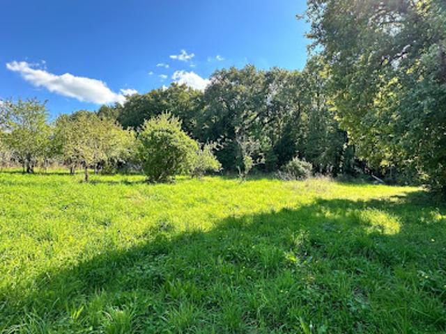 Vente Terrain 1904 m2 Chaniers