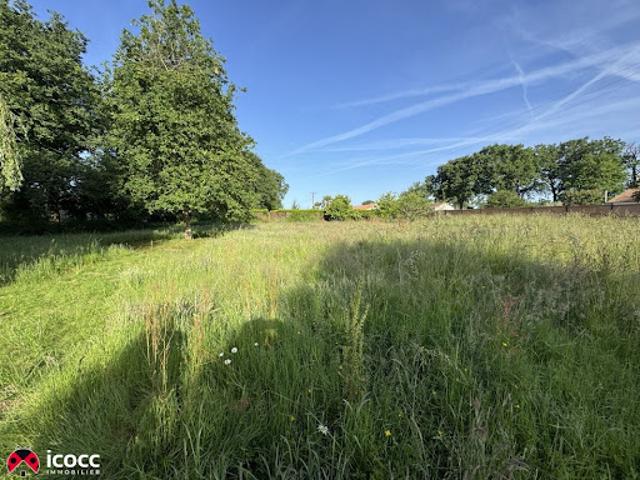 Vente Terrain 1904 m2 Nesmy
