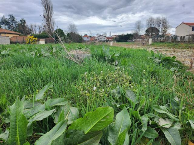 Vente Terrain 190 m2 Feyzin