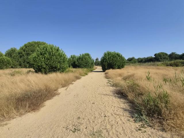 Vente Terrain 190 m²